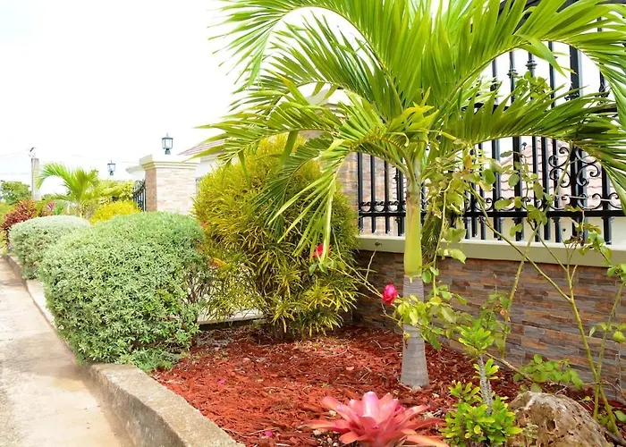 Apartment Snowbird Friendly - Seaview Balcony - Fast Wifi And Ac *